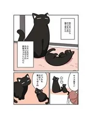 Kuroneko No Ohanashi Kuroneko No Ohanashi