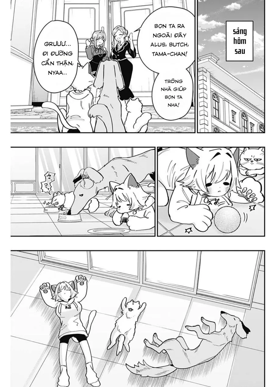 Trang 7