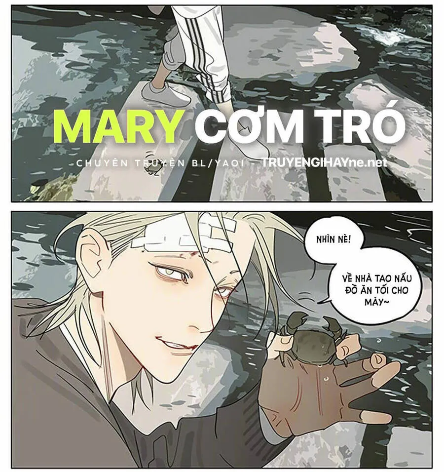 Trang 6
