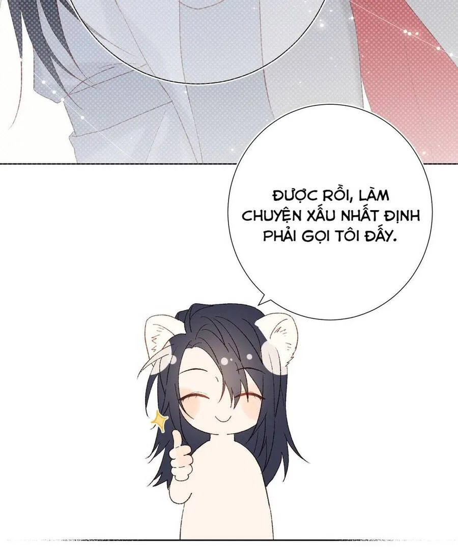 Trang 51