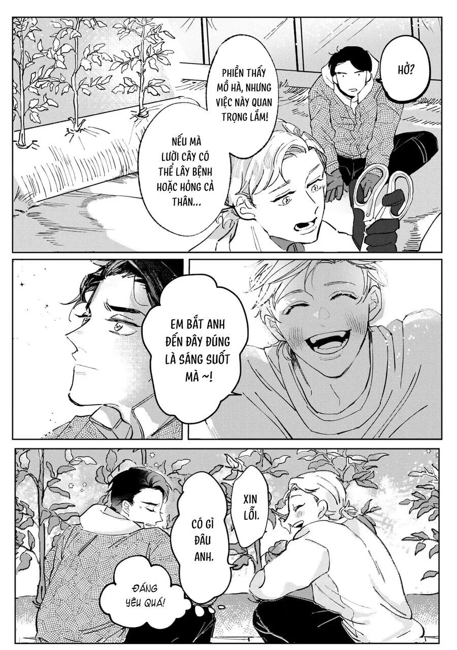Trang 22