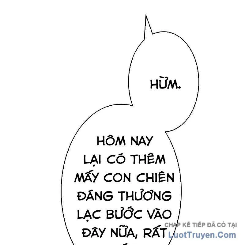 Trang 245