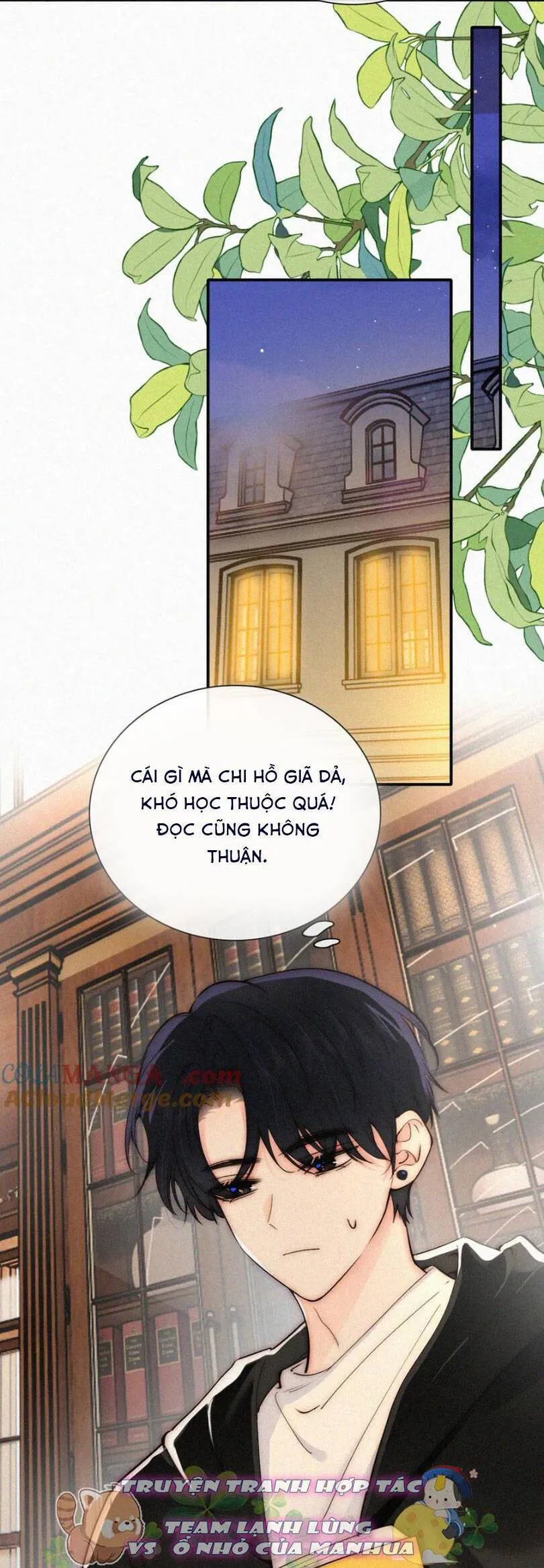 Trang 13