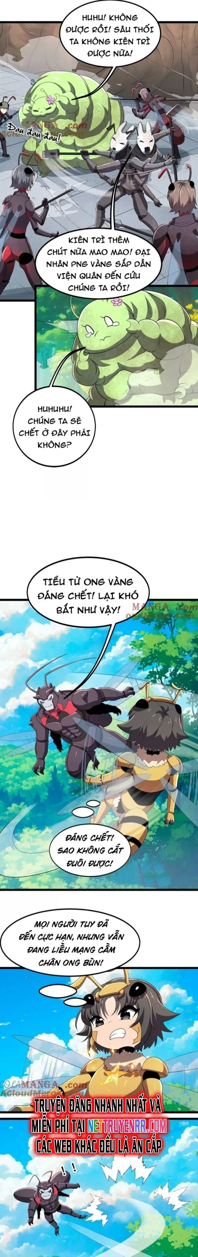 Trang 15