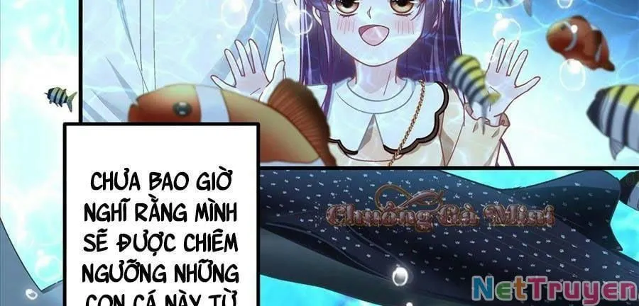 Trang 62
