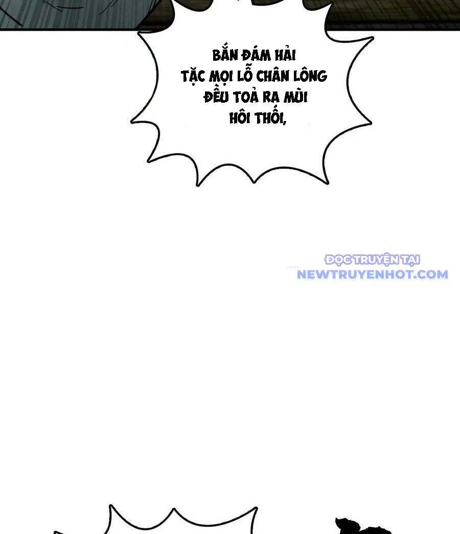 Trang 51