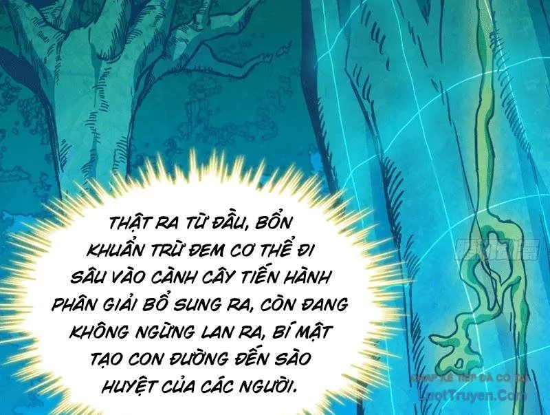 Trang 117