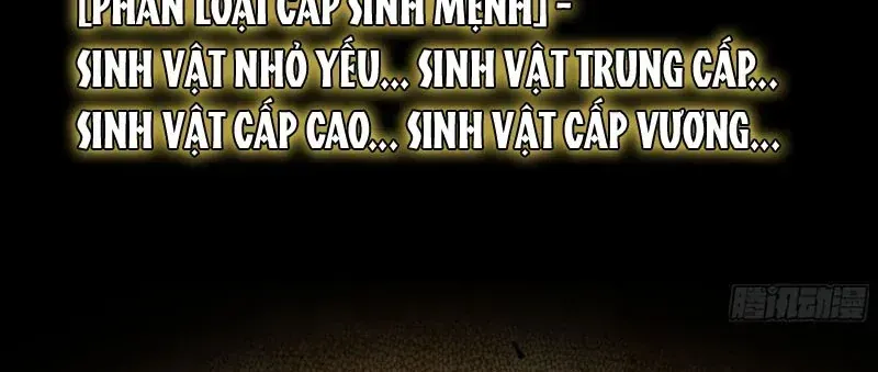 Trang 264