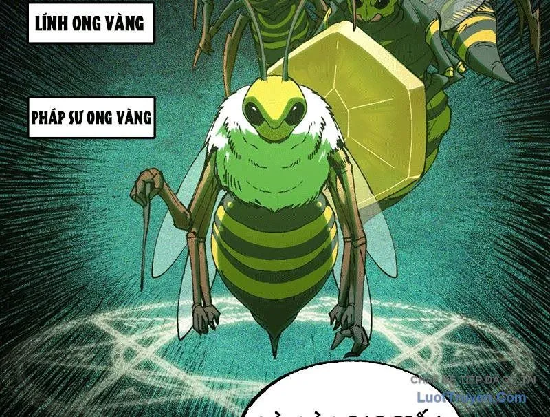 Trang 107