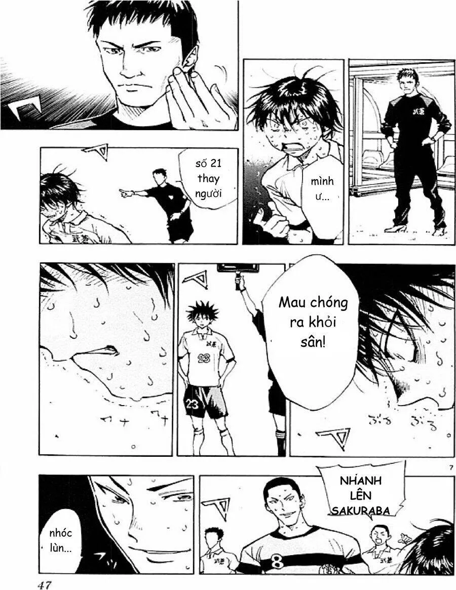 Trang 8