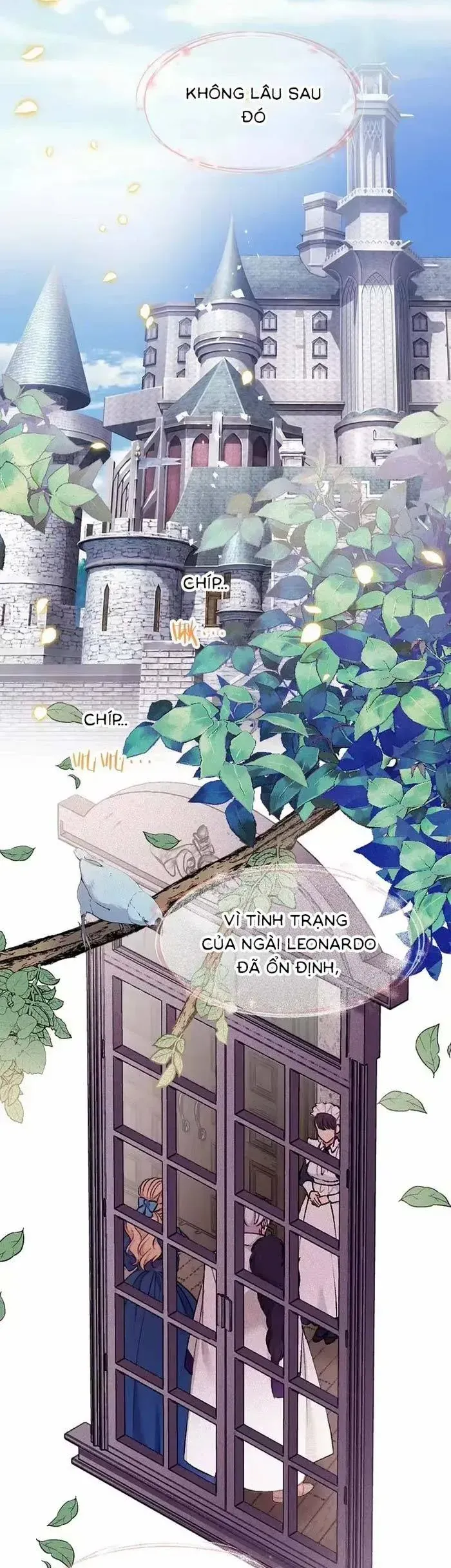 Trang 17