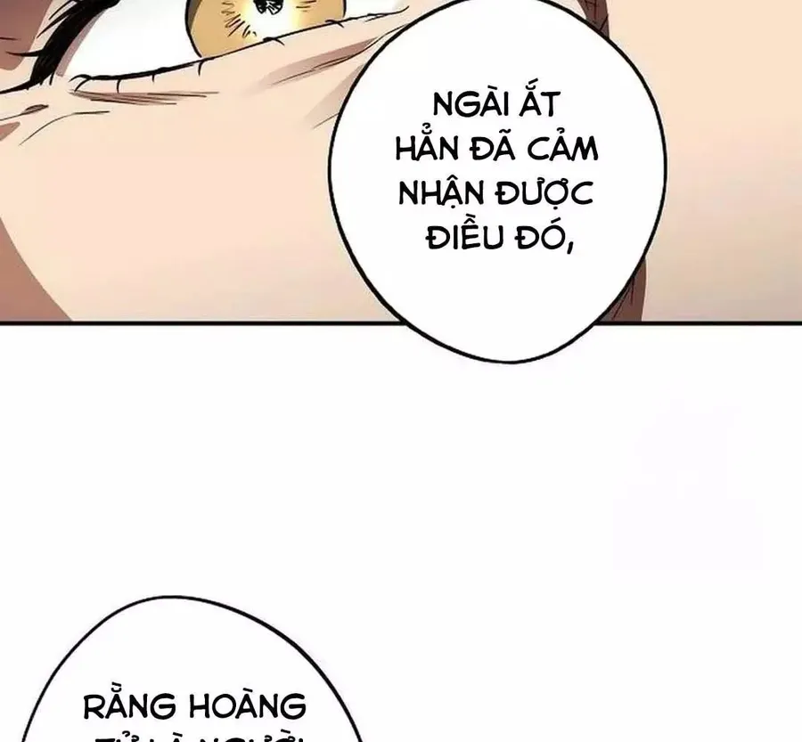 Trang 95