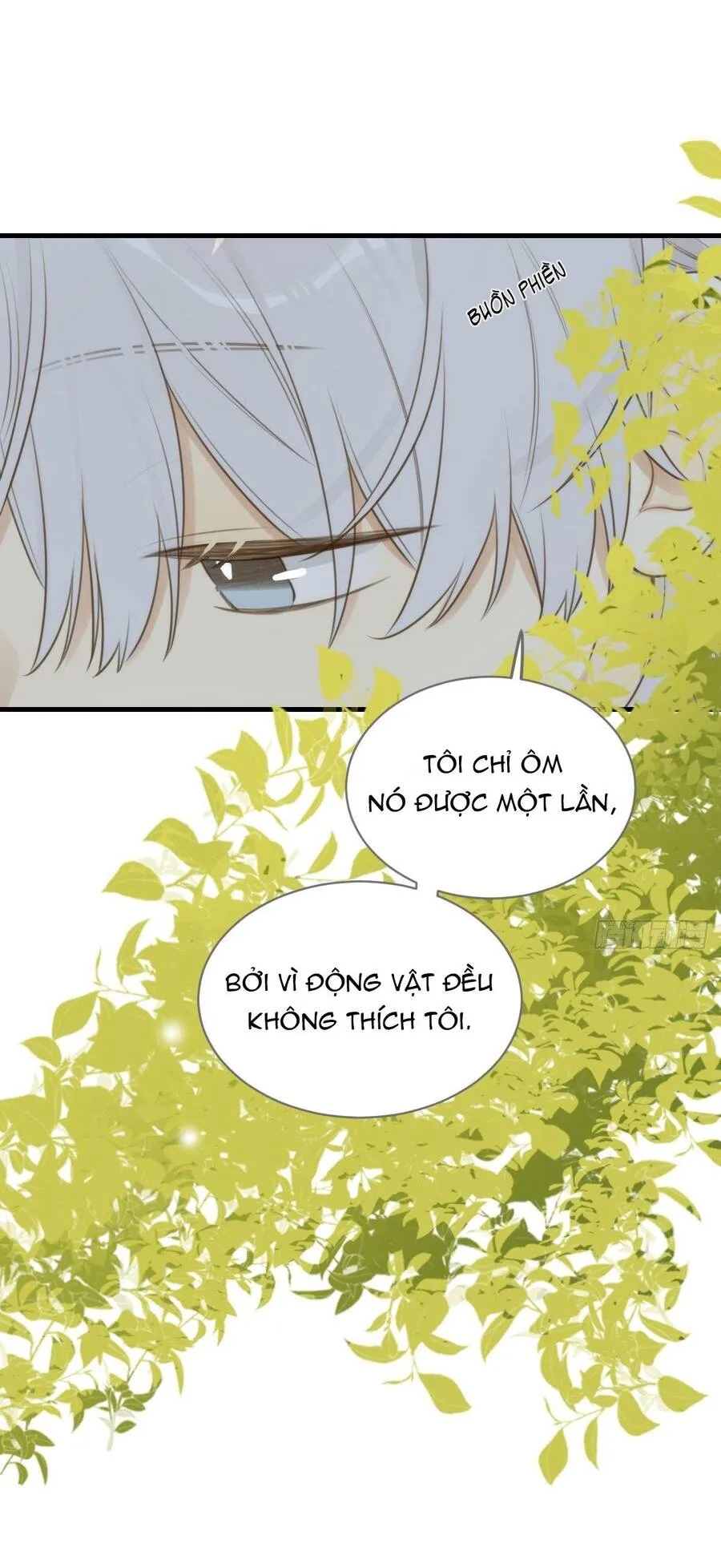 Trang 31