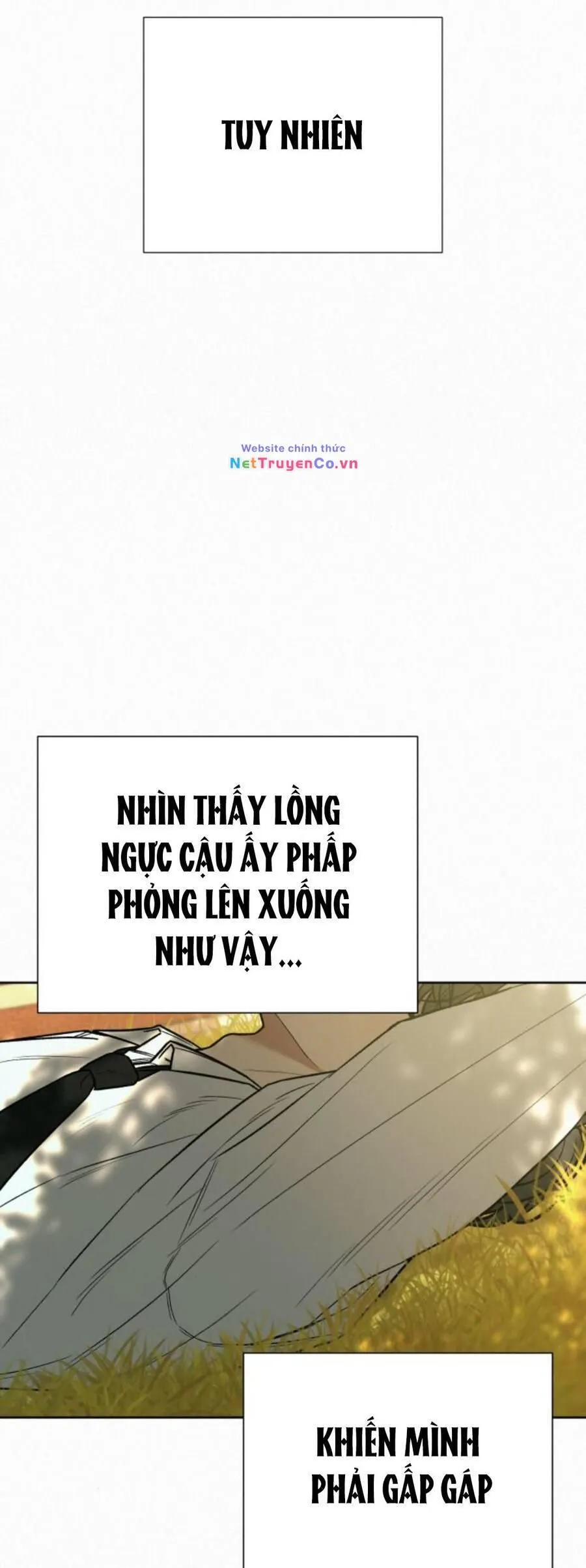 Trang 53