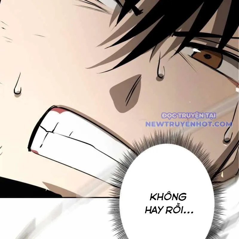 Trang 276