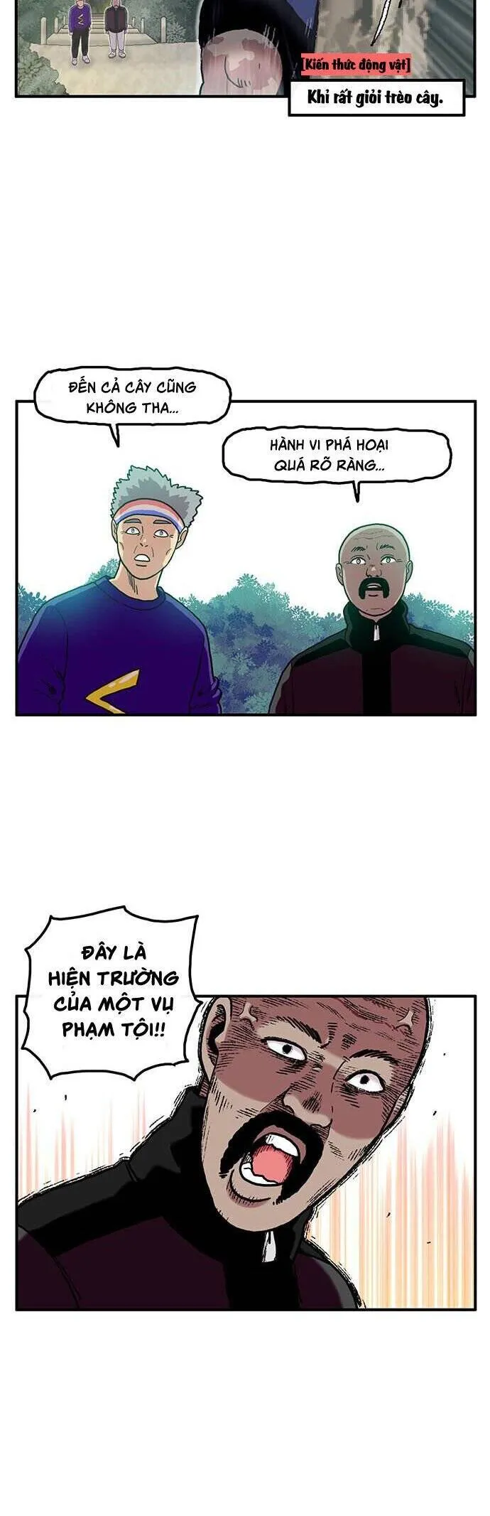 Trang 17