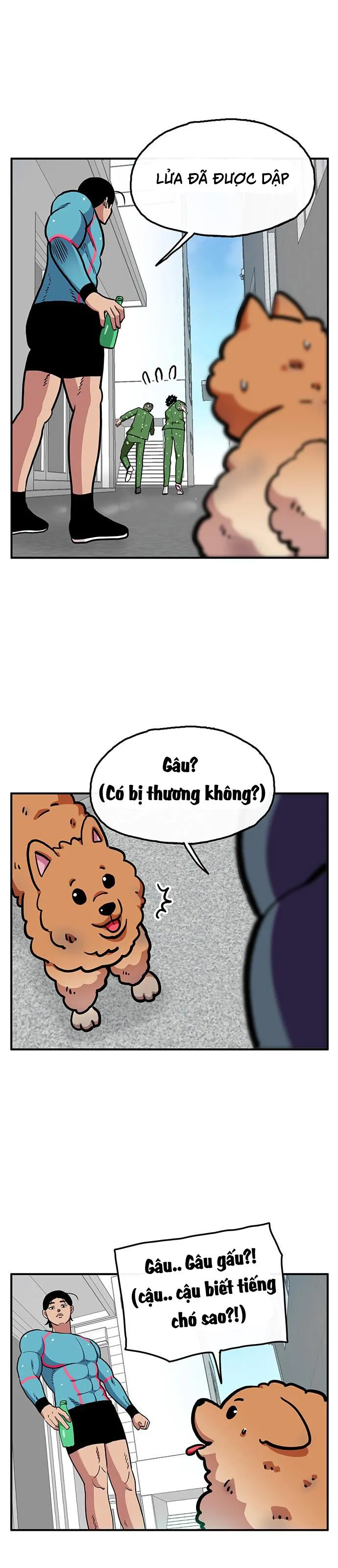 Trang 8