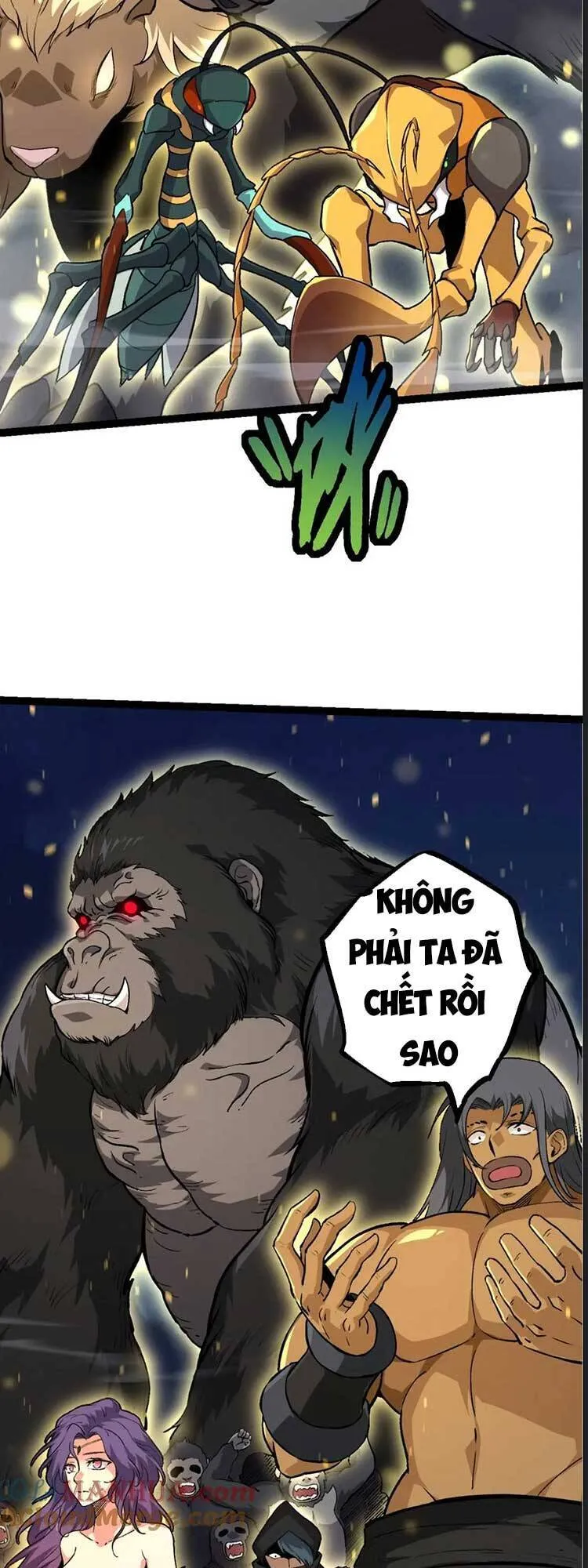 Trang 22