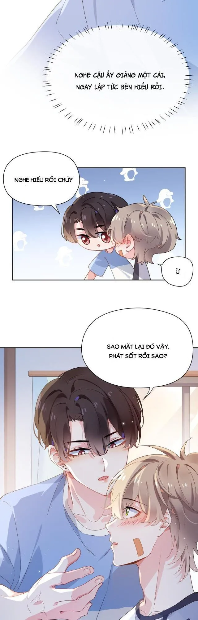 Trang 21