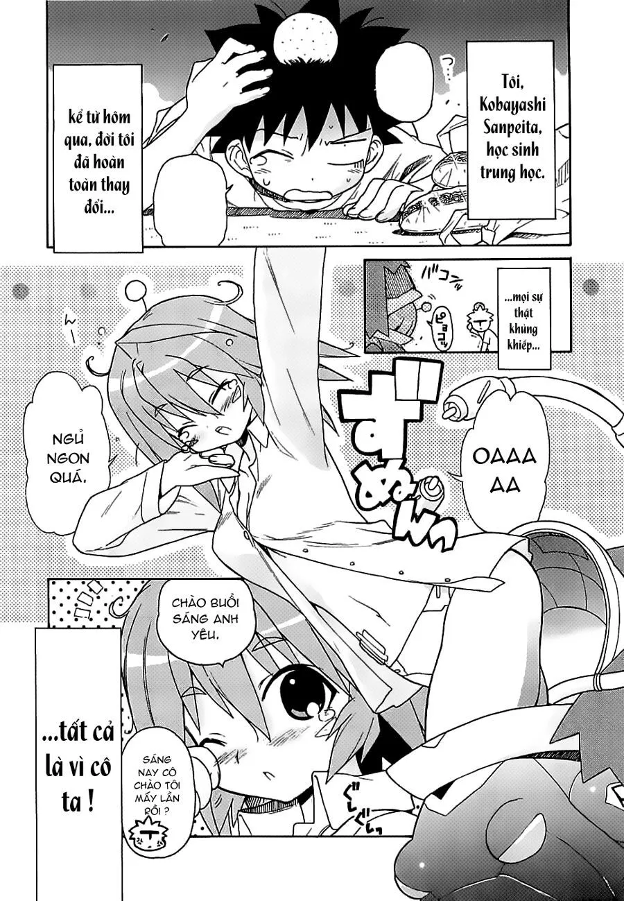Trang 5