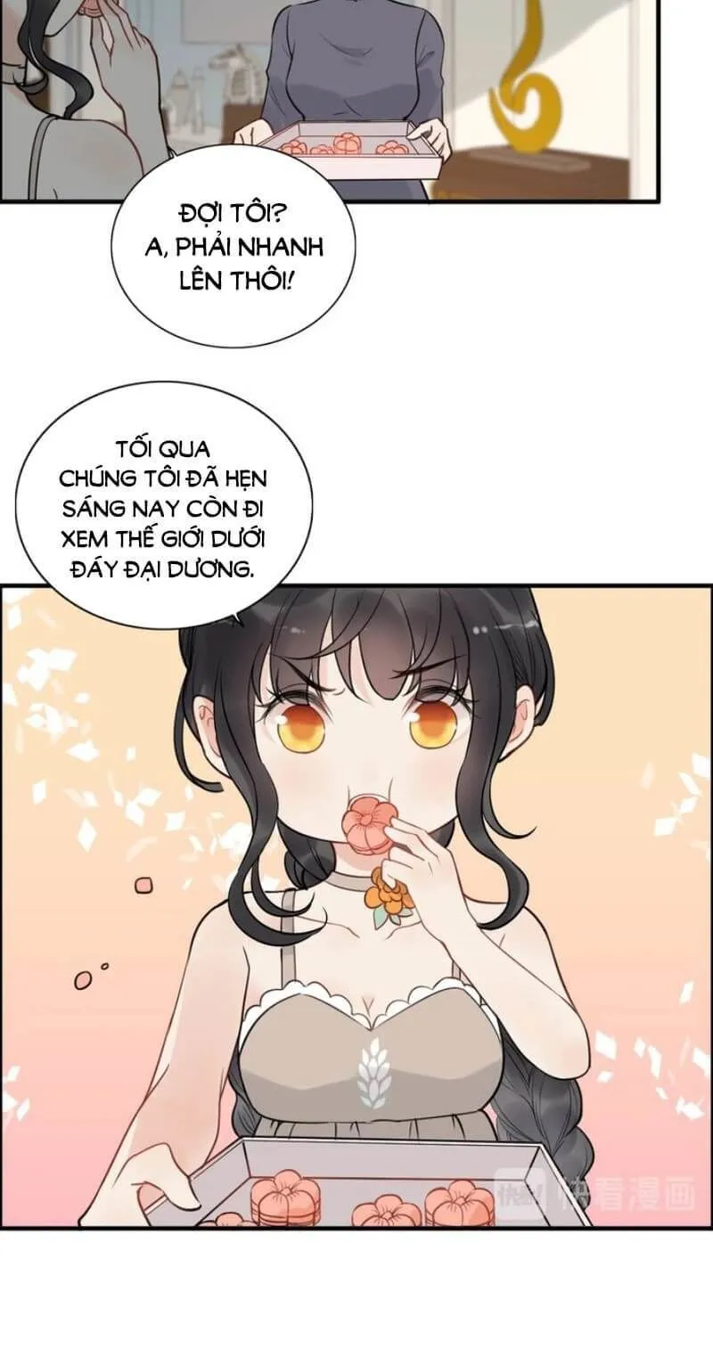 Trang 21