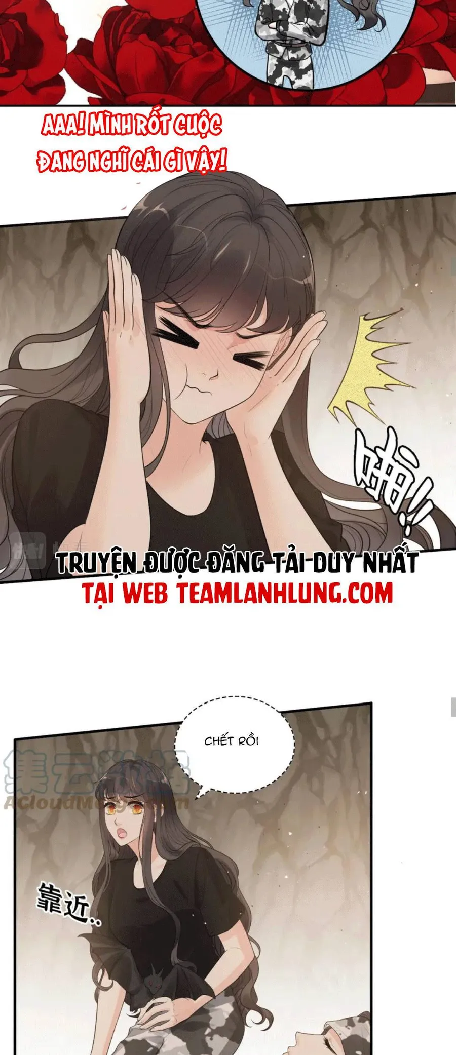 Trang 25