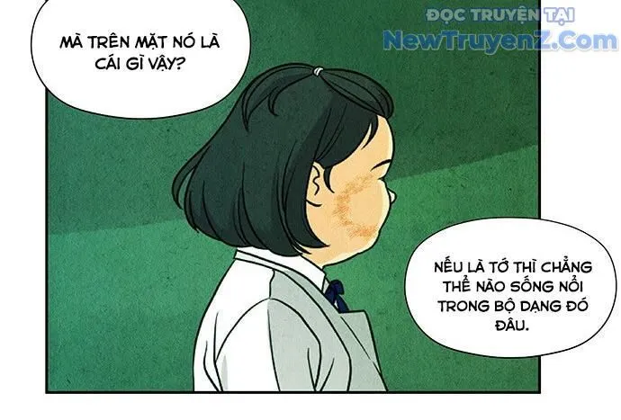Trang 41