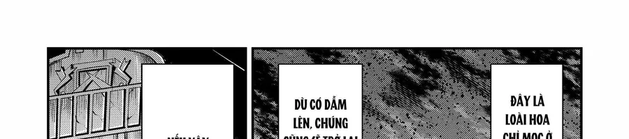 Trang 100