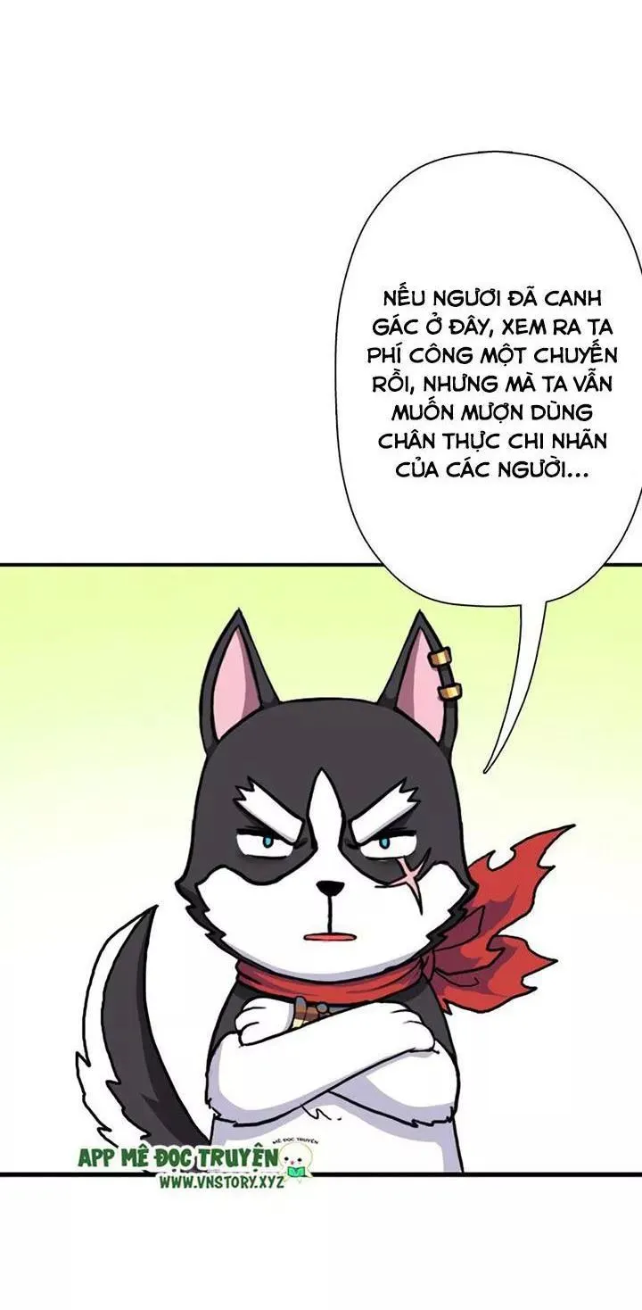 Trang 53