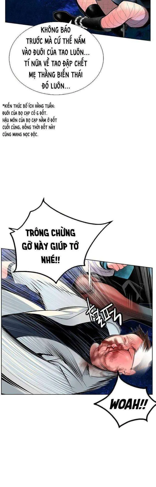 Trang 27