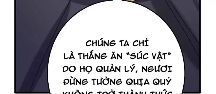 Trang 101