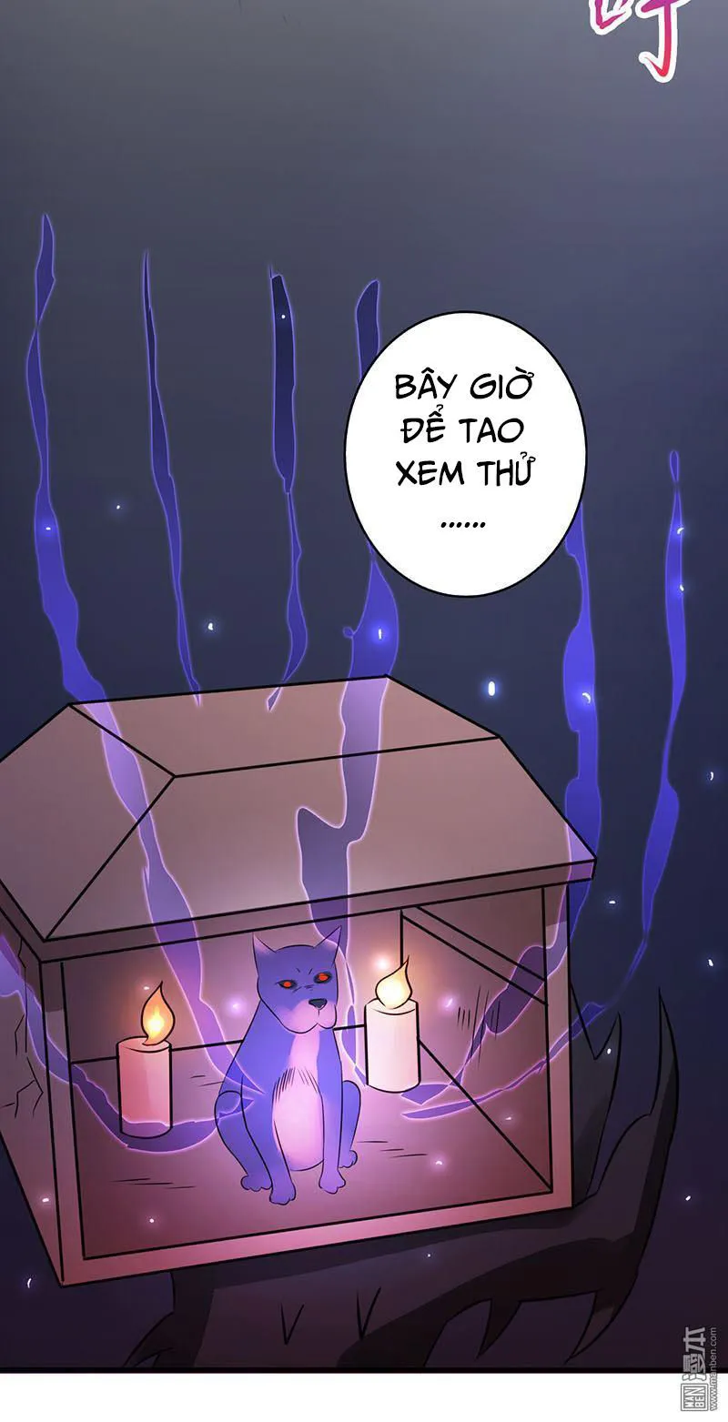 Trang 13