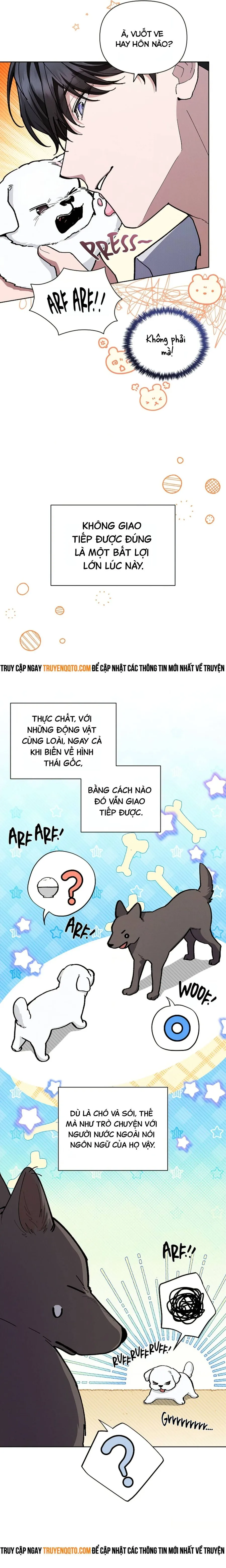 Trang 17