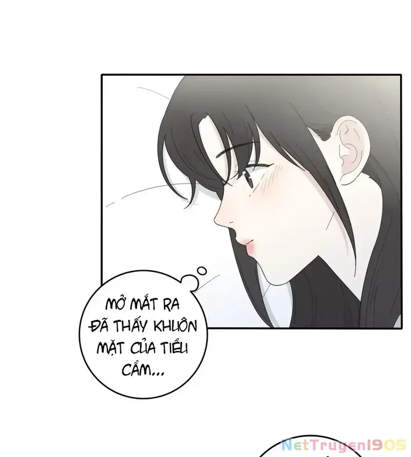 Trang 51
