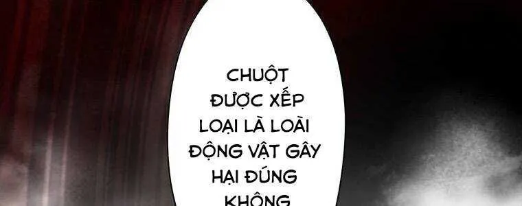 Trang 244