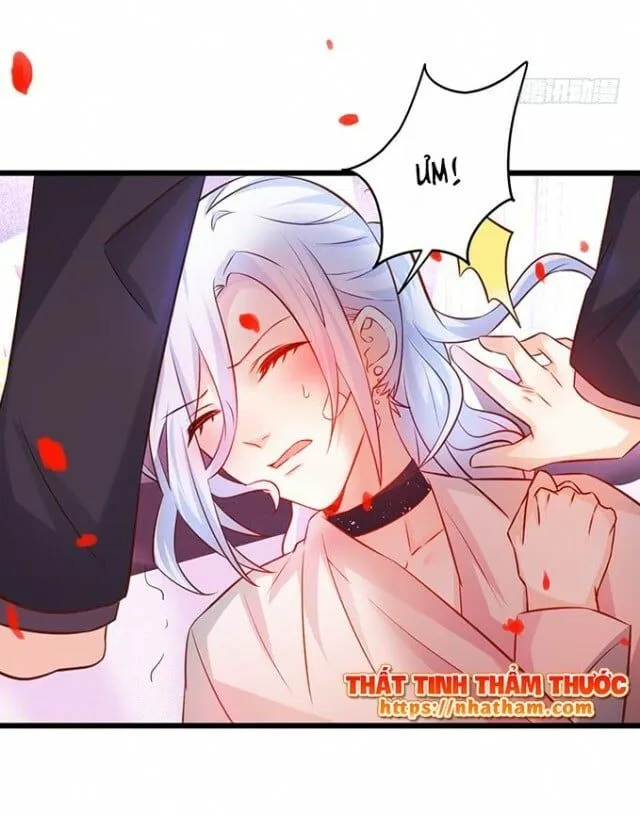 Trang 27