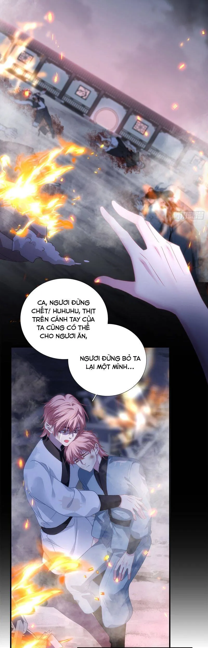 Trang 24