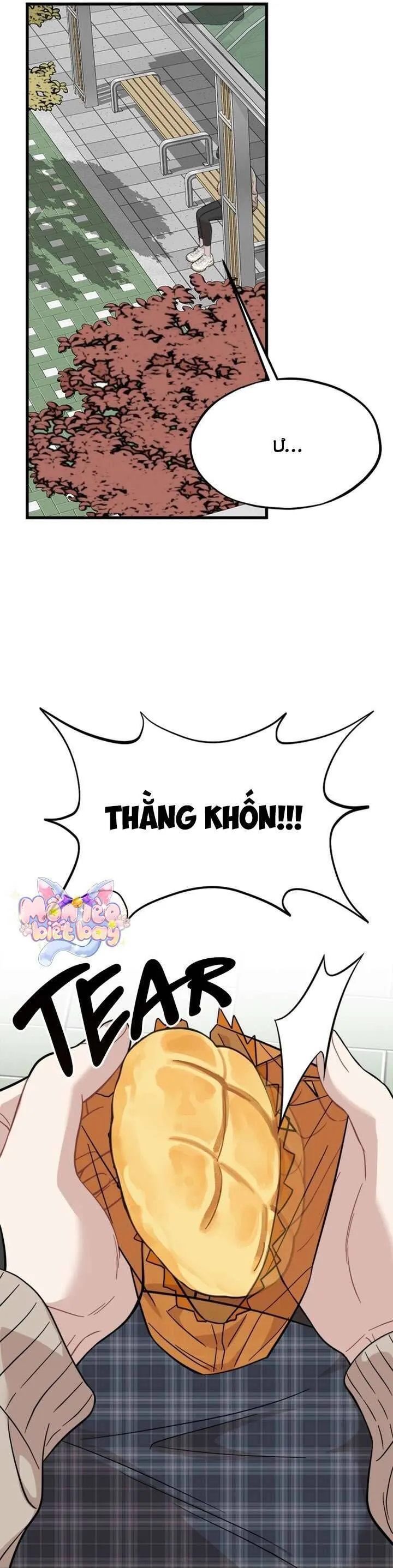 Trang 14