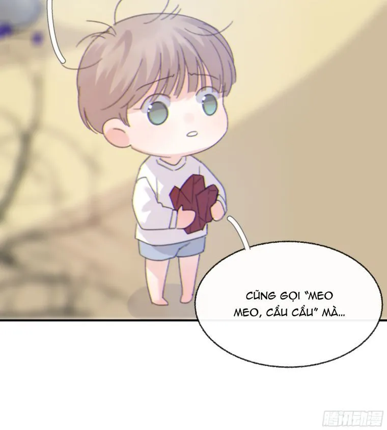 Trang 55