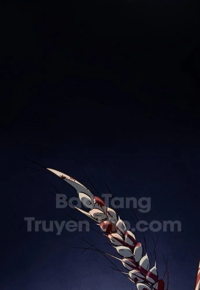 Trang 79