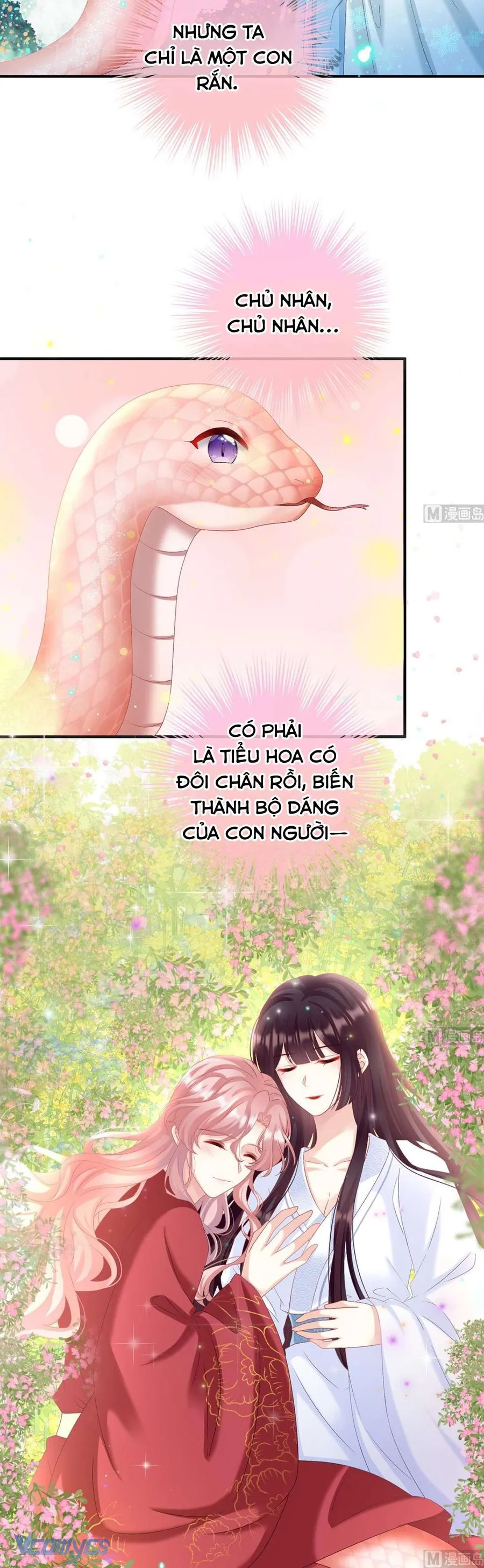 Trang 17