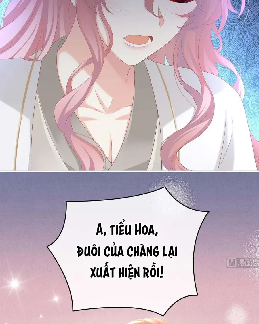 Trang 44