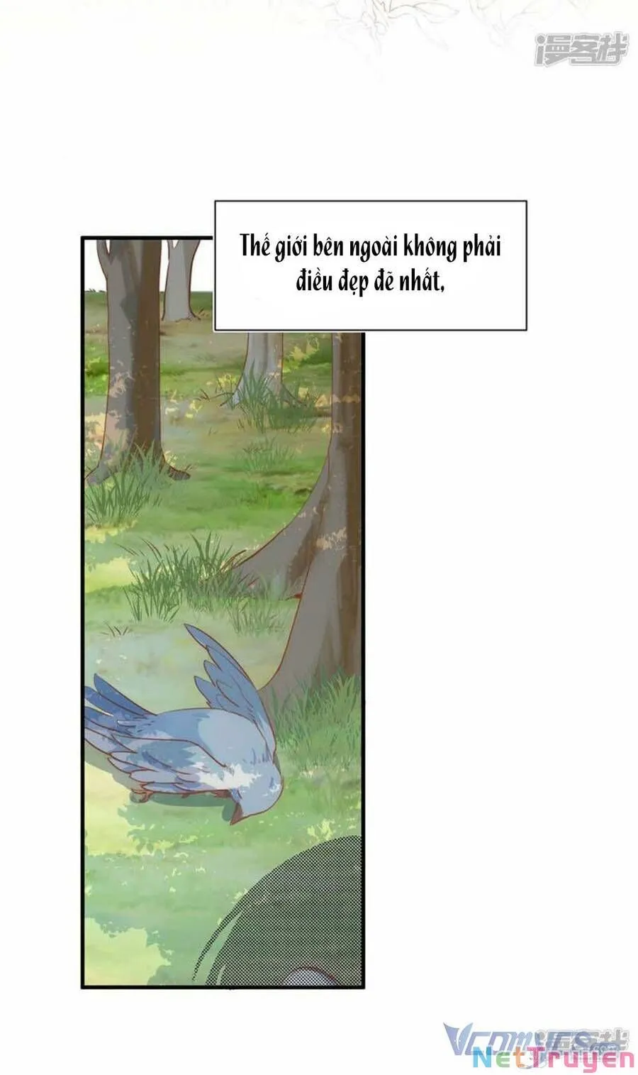 Trang 16