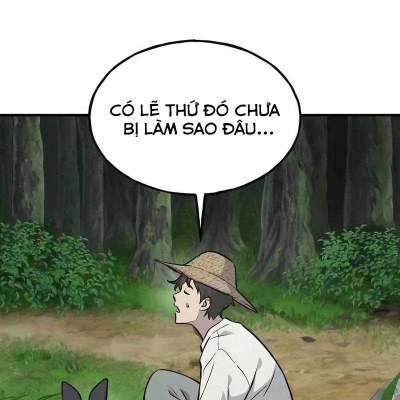 Trang 244