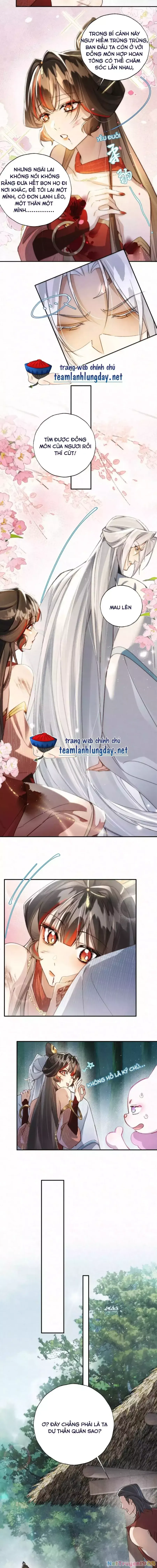 Trang 7