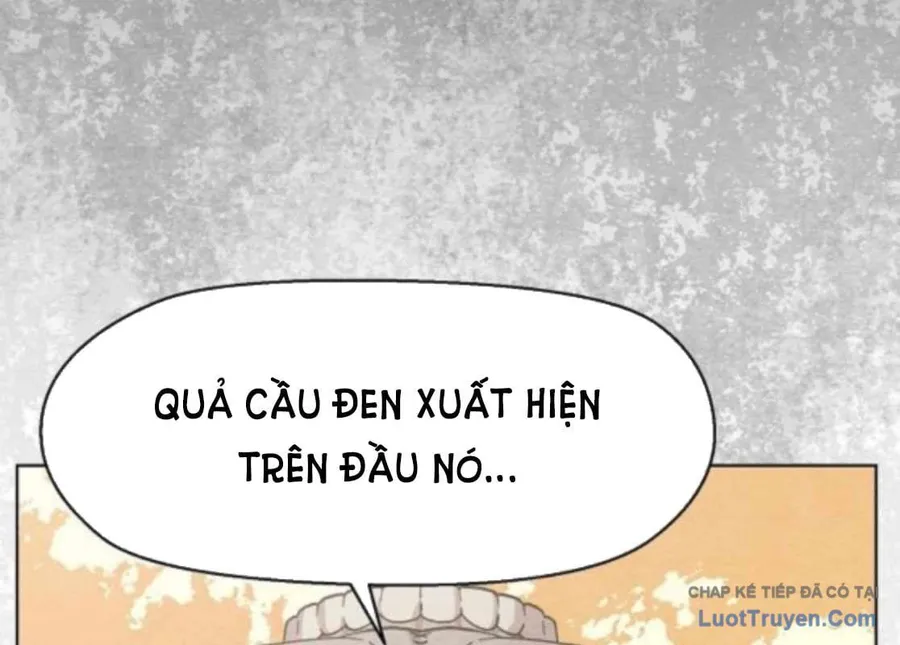 Trang 231