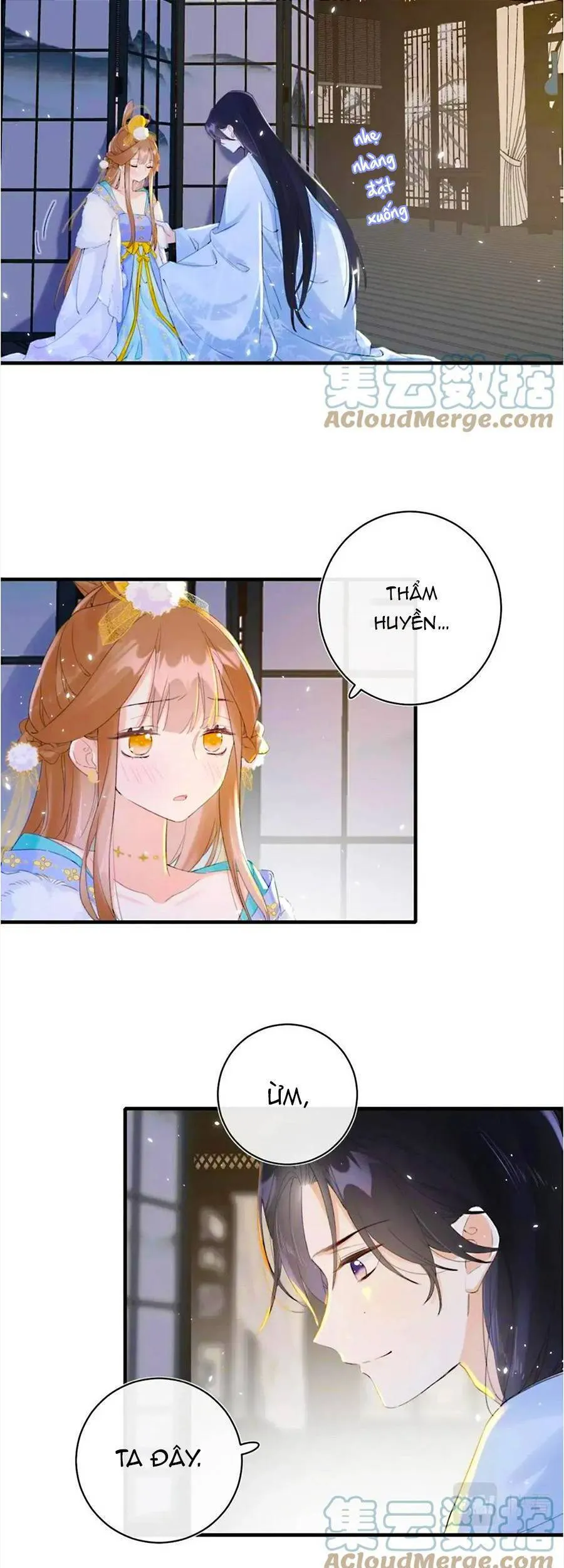 Trang 5