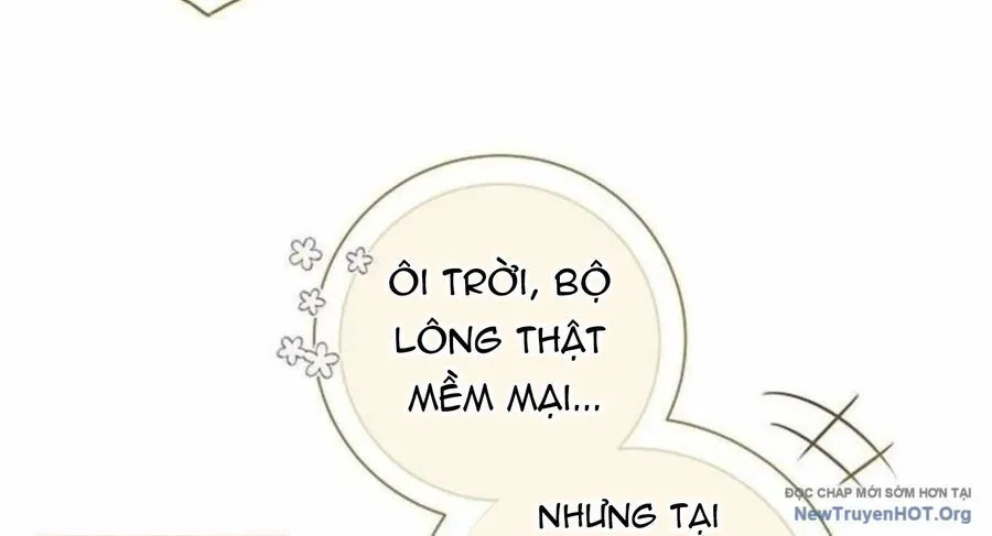 Trang 100