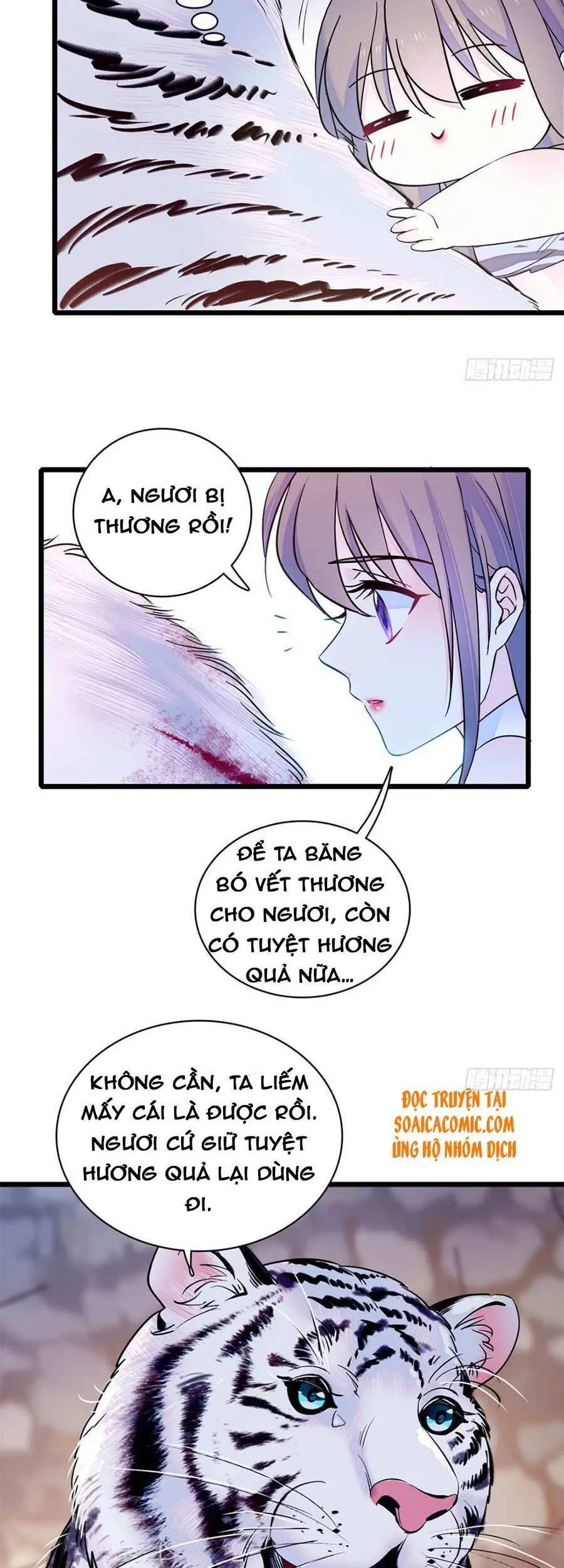 Trang 5