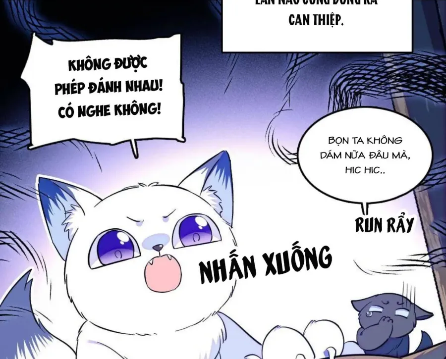 Trang 48